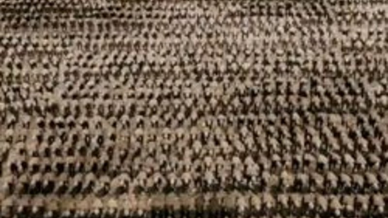 Çanakkale 1915 filmine ilk yorumlar