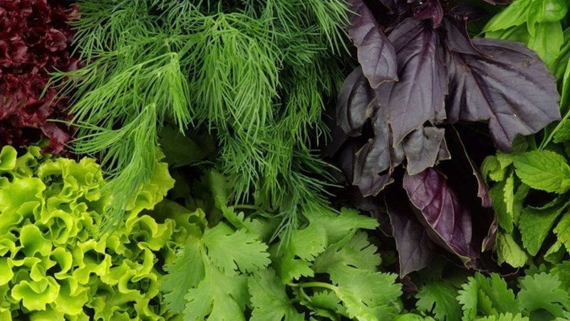 Haftalarca dayanıyor! Yeşilliklerin yanına birkaç kürdan koyun, etkisine bakın