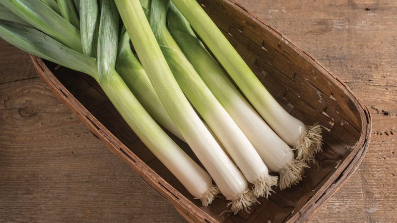 Seveni az ama faydası çok! Pırasa bakın nelere iyi geliyormuş